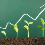 Going organic: how accounting firms can grow on their own terms