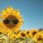 What’s new in Staffology Payroll: summer 2025 update