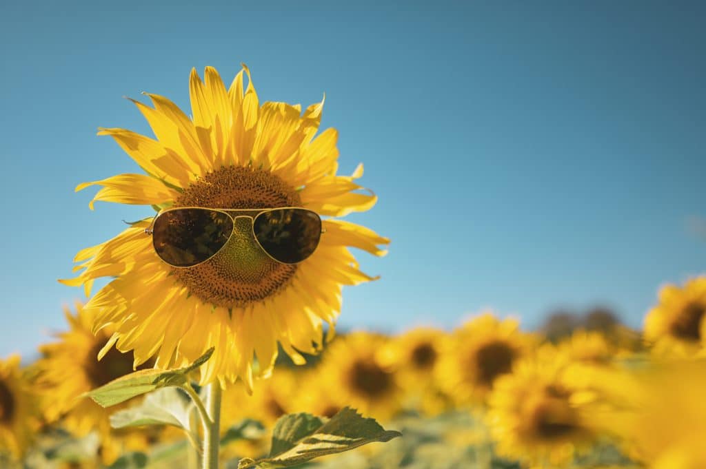 What’s new in Staffology Payroll: summer 2025 update
